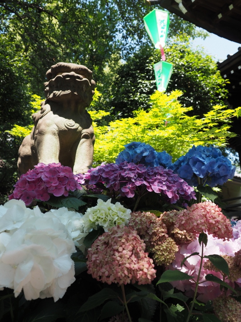 f:id:tanico:20170617095308j:plain f:id:tanico:20170617095308j:plain