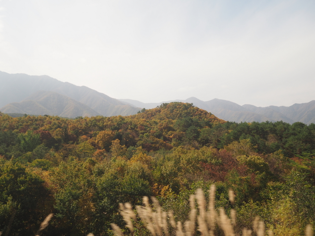 f:id:tanico:20171024103533j:plain