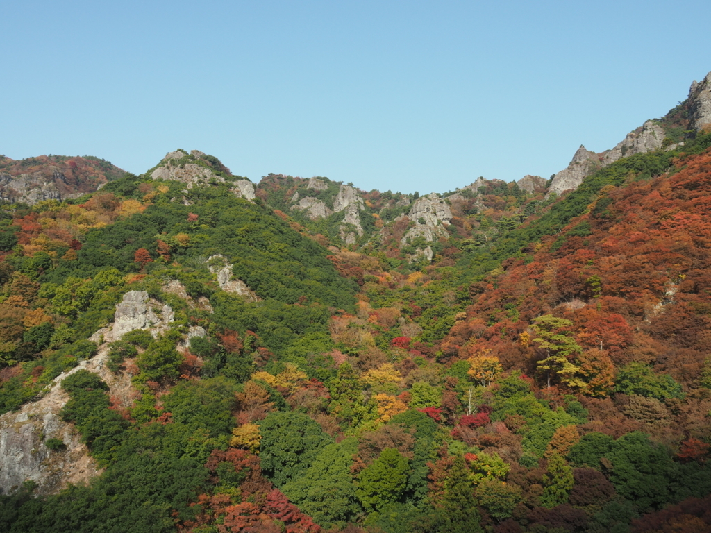 f:id:tanico:20171109104510j:plain