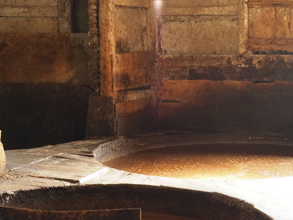 f:id:tanico:20171109140016j:plain f:id:tanico:20171109140016j:plain