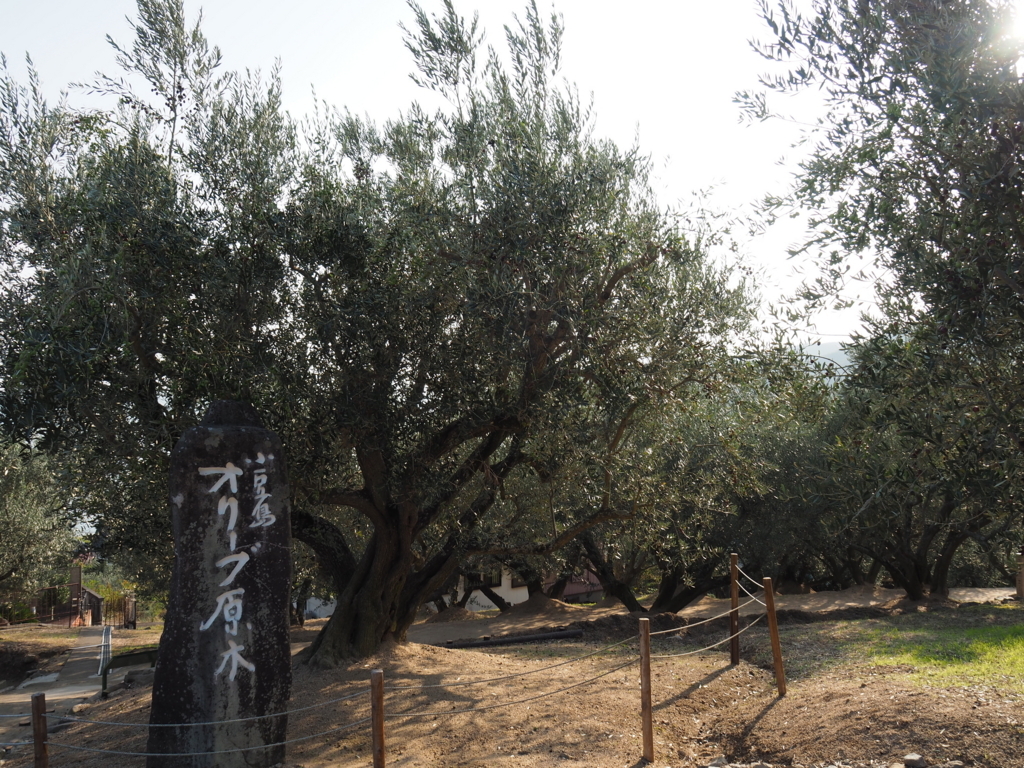 f:id:tanico:20171109150743j:plain f:id:tanico:20171109150743j:plain