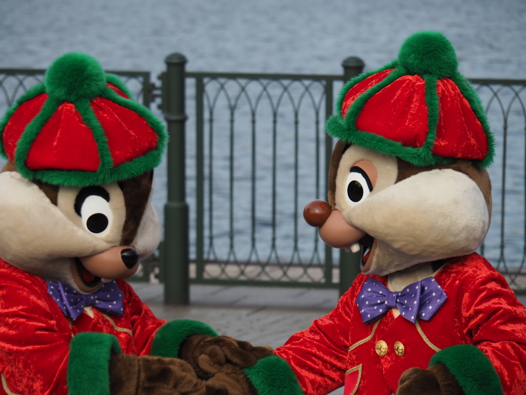 f:id:tanico:20171122093152j:plain f:id:tanico:20171122093152j:plain