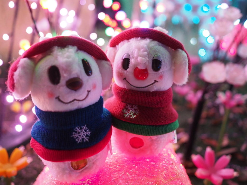 f:id:tanico:20171125181737j:plain