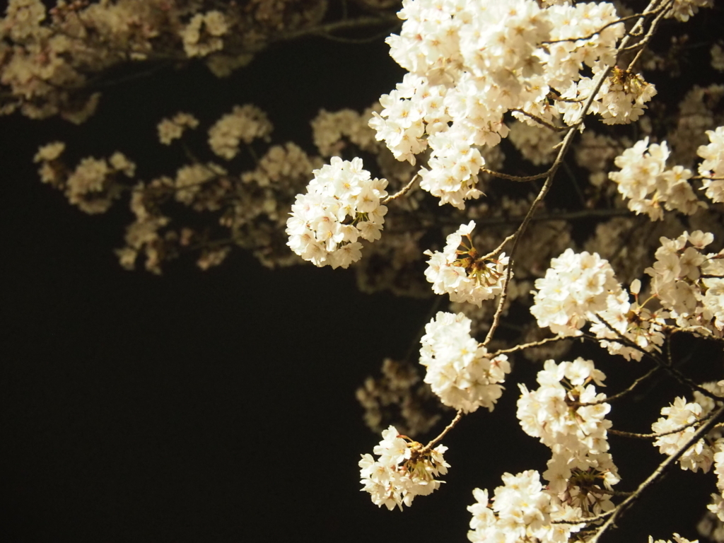 f:id:tanico:20180327212101j:plain f:id:tanico:20180327212101j:plain