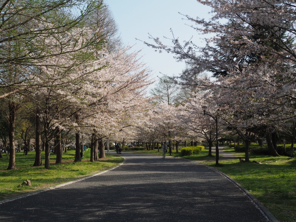 f:id:tanico:20180331145223j:plain