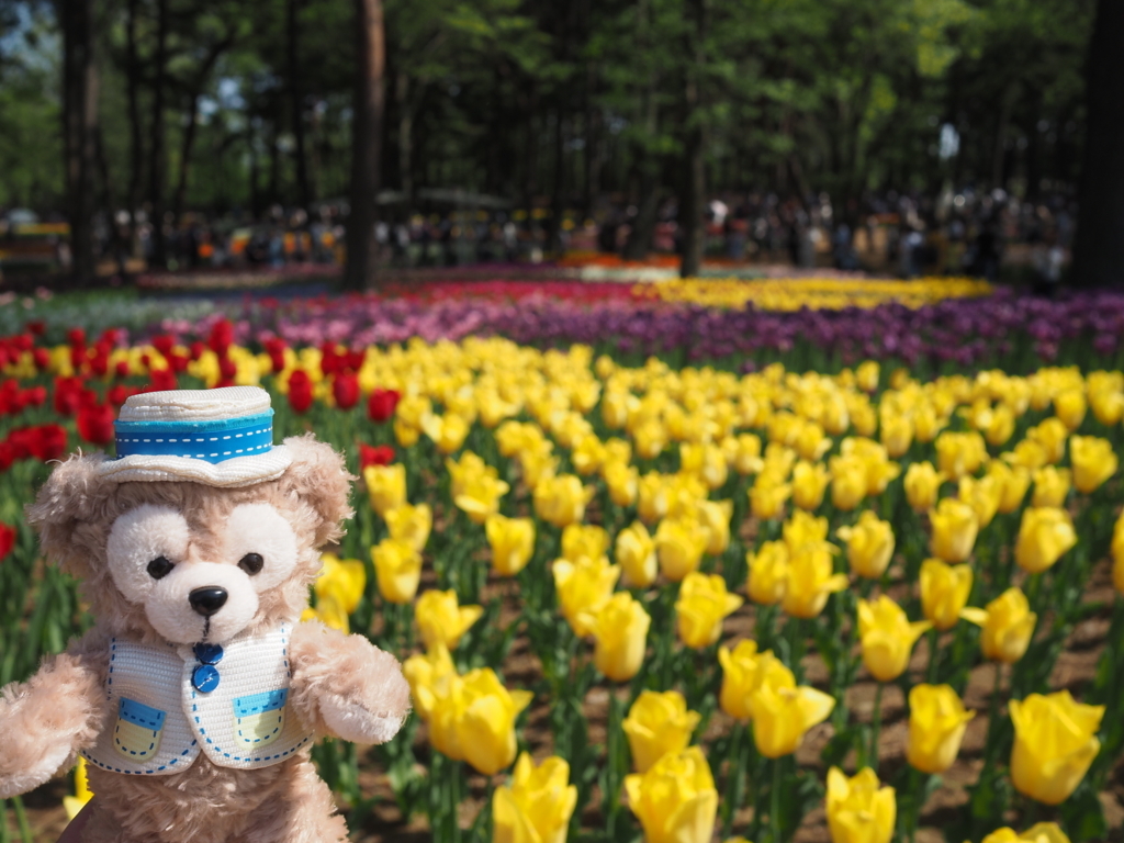 f:id:tanico:20180421141147j:plain