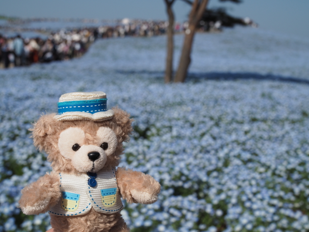 f:id:tanico:20180421144734j:plain f:id:tanico:20180421144734j:plain