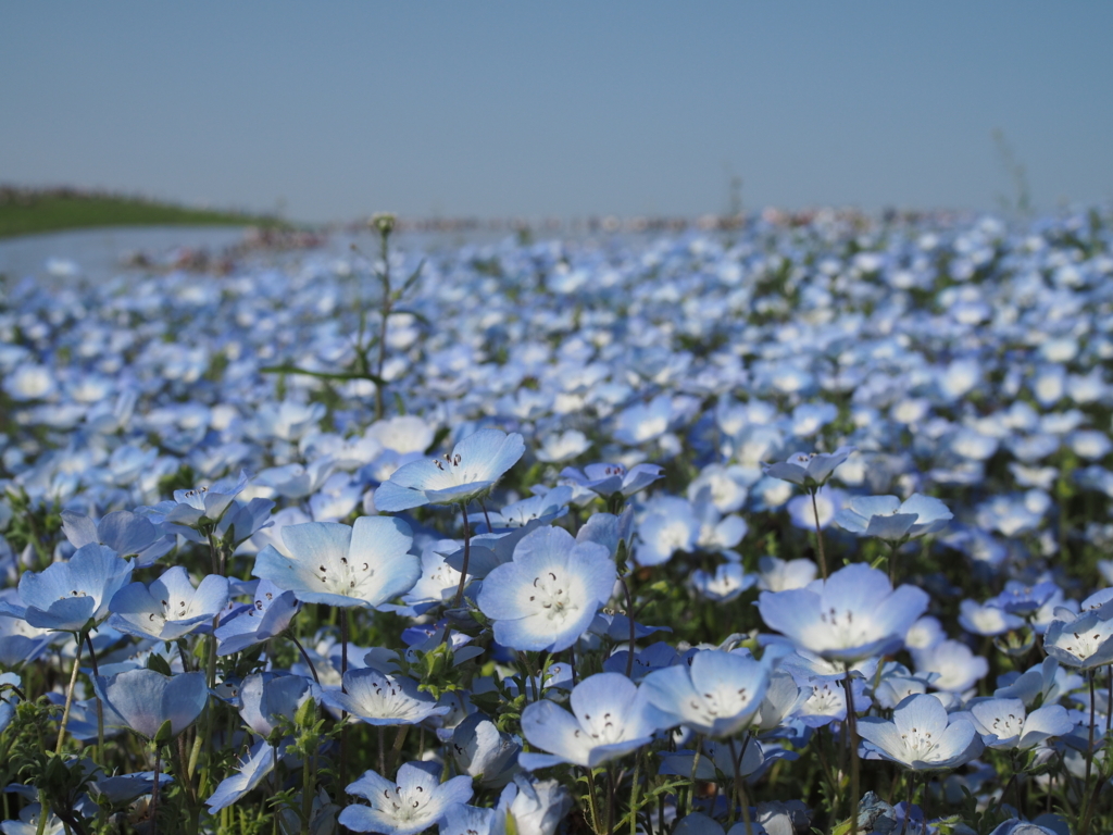 f:id:tanico:20180421145950j:plain f:id:tanico:20180421145950j:plain