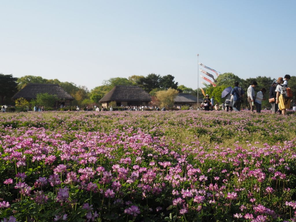 f:id:tanico:20180421154757j:plain