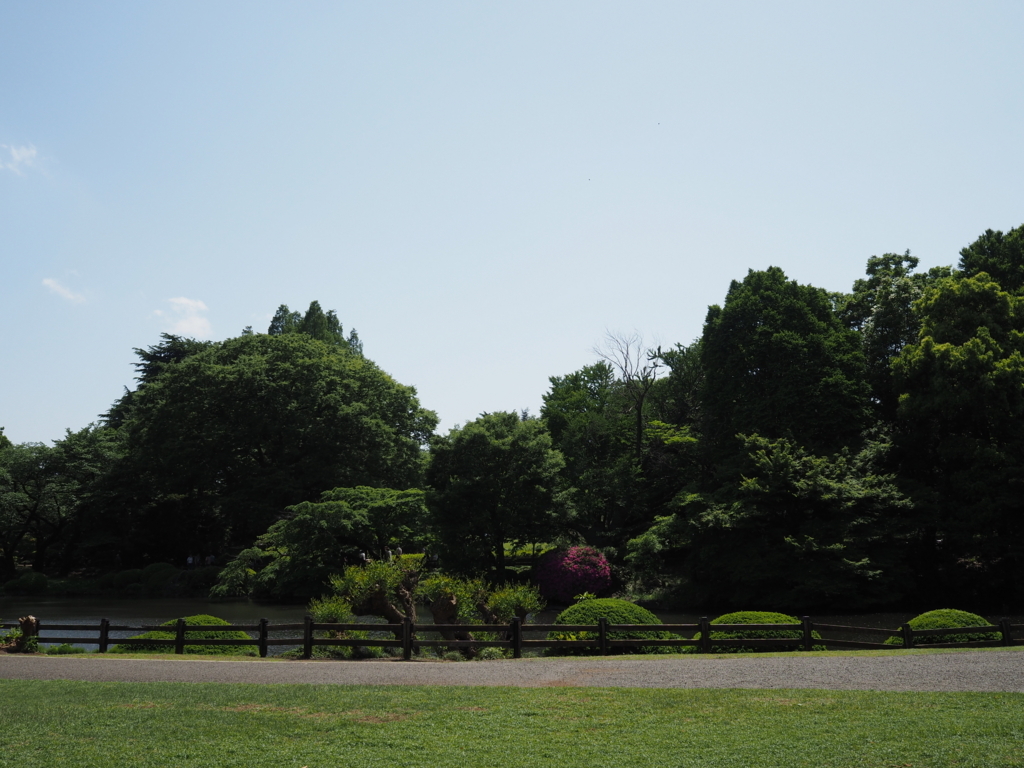 f:id:tanico:20180429125528j:plain