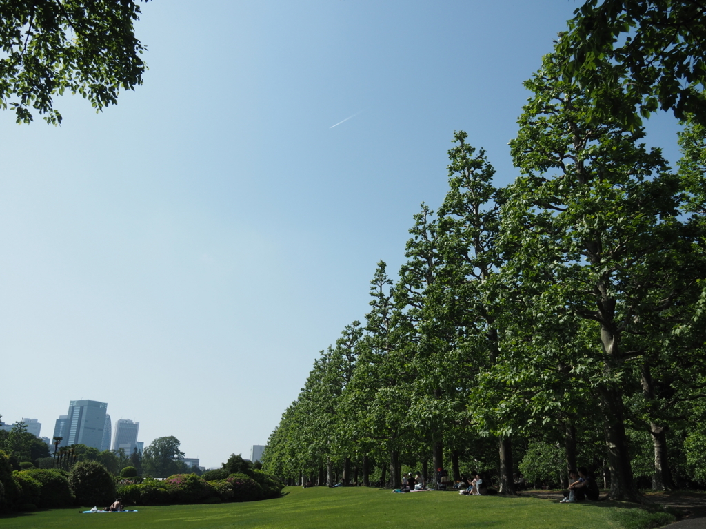 f:id:tanico:20180429143537j:plain