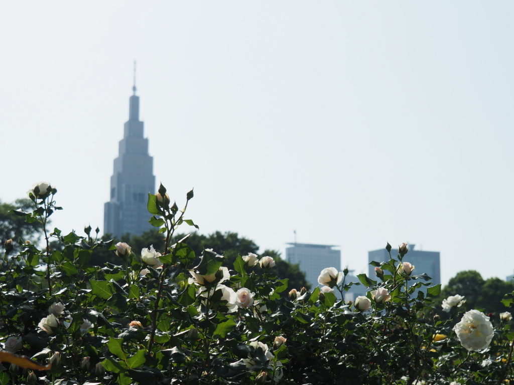 f:id:tanico:20180429151427j:plain