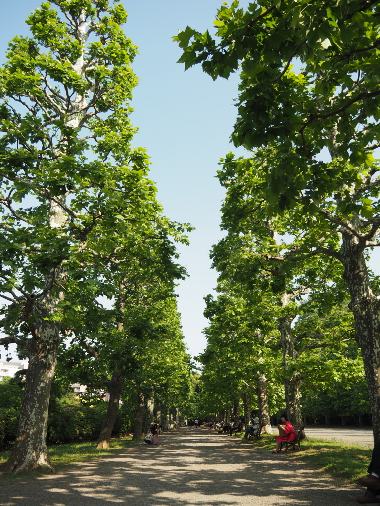 f:id:tanico:20180429152702j:plain