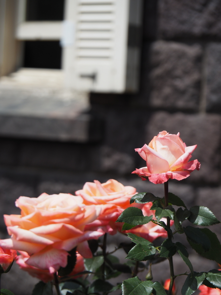 f:id:tanico:20180506123600j:plain