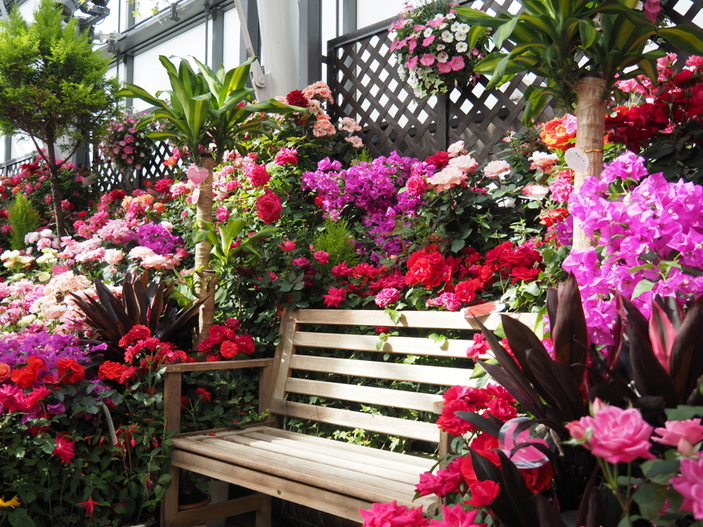 f:id:tanico:20180506151440j:plain f:id:tanico:20180506151440j:plain