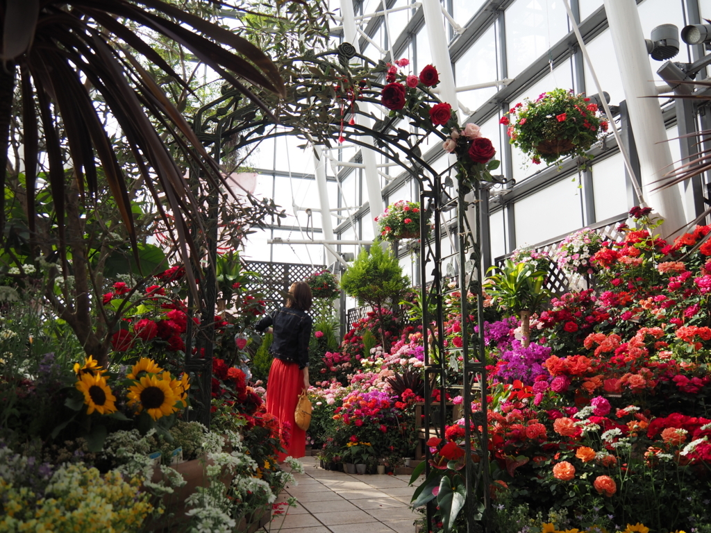 f:id:tanico:20180506153955j:plain f:id:tanico:20180506153955j:plain