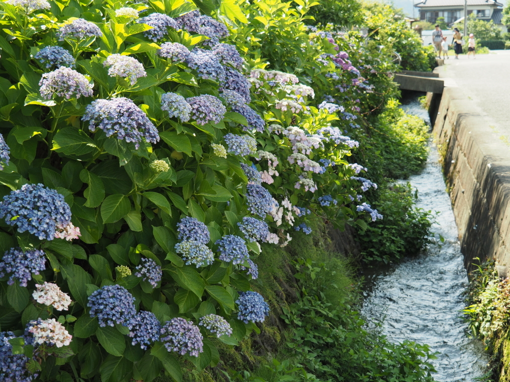 f:id:tanico:20180609143432j:plain