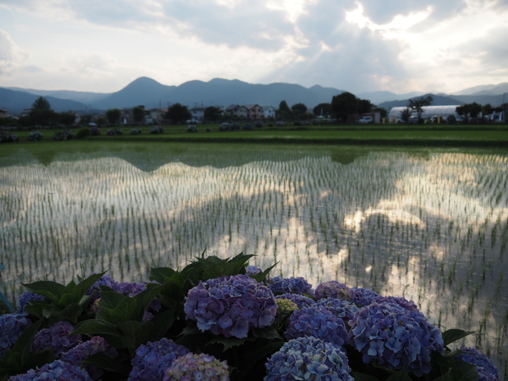 f:id:tanico:20180609173453j:plain