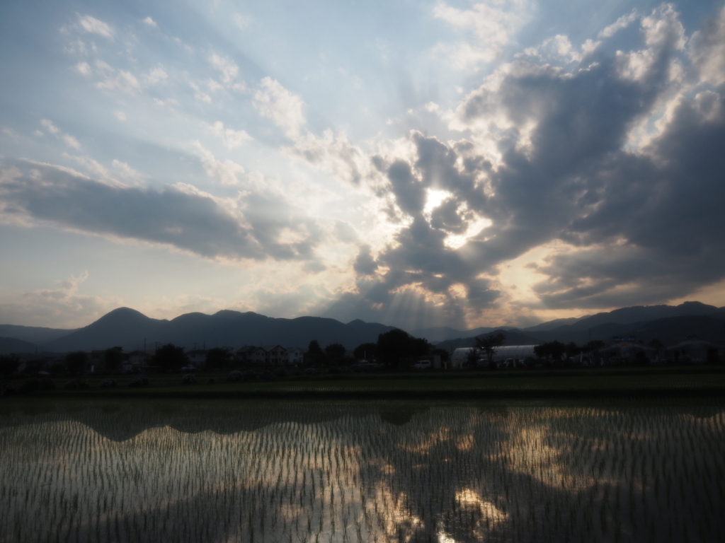 f:id:tanico:20180609174032j:plain
