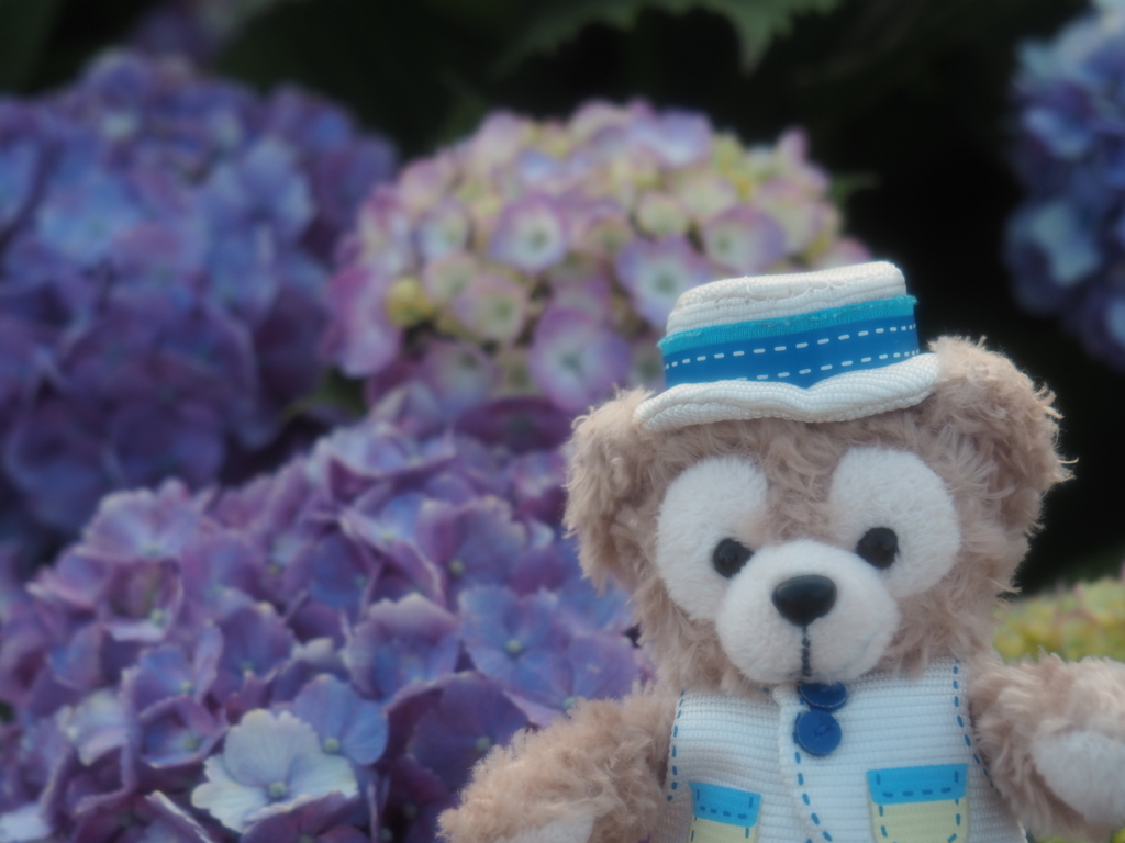 f:id:tanico:20180609174507j:plain