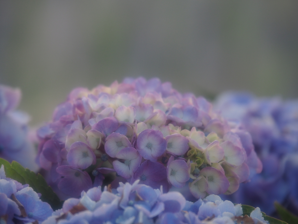 f:id:tanico:20180609174758j:plain