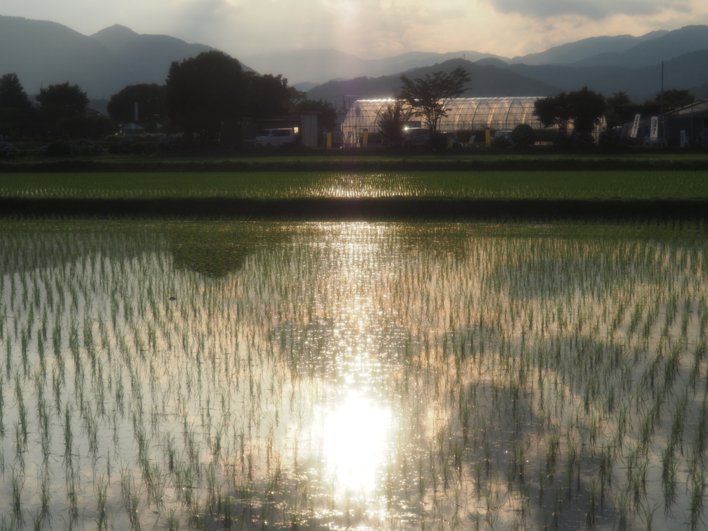 f:id:tanico:20180609175130j:plain