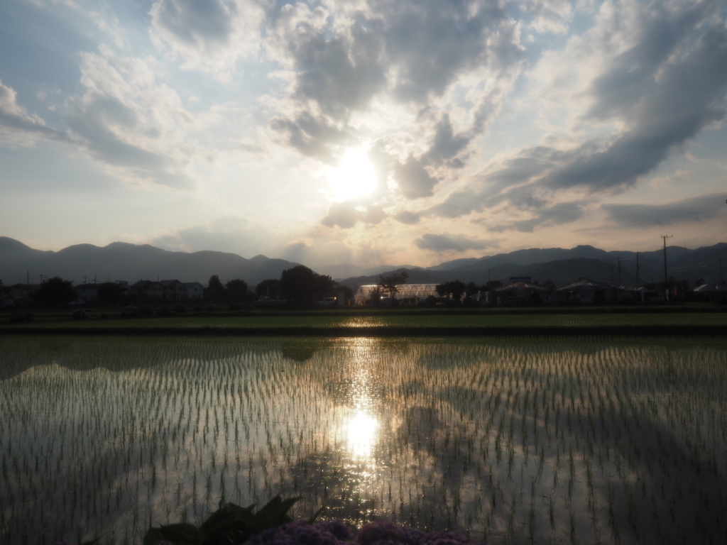 f:id:tanico:20180609175137j:plain