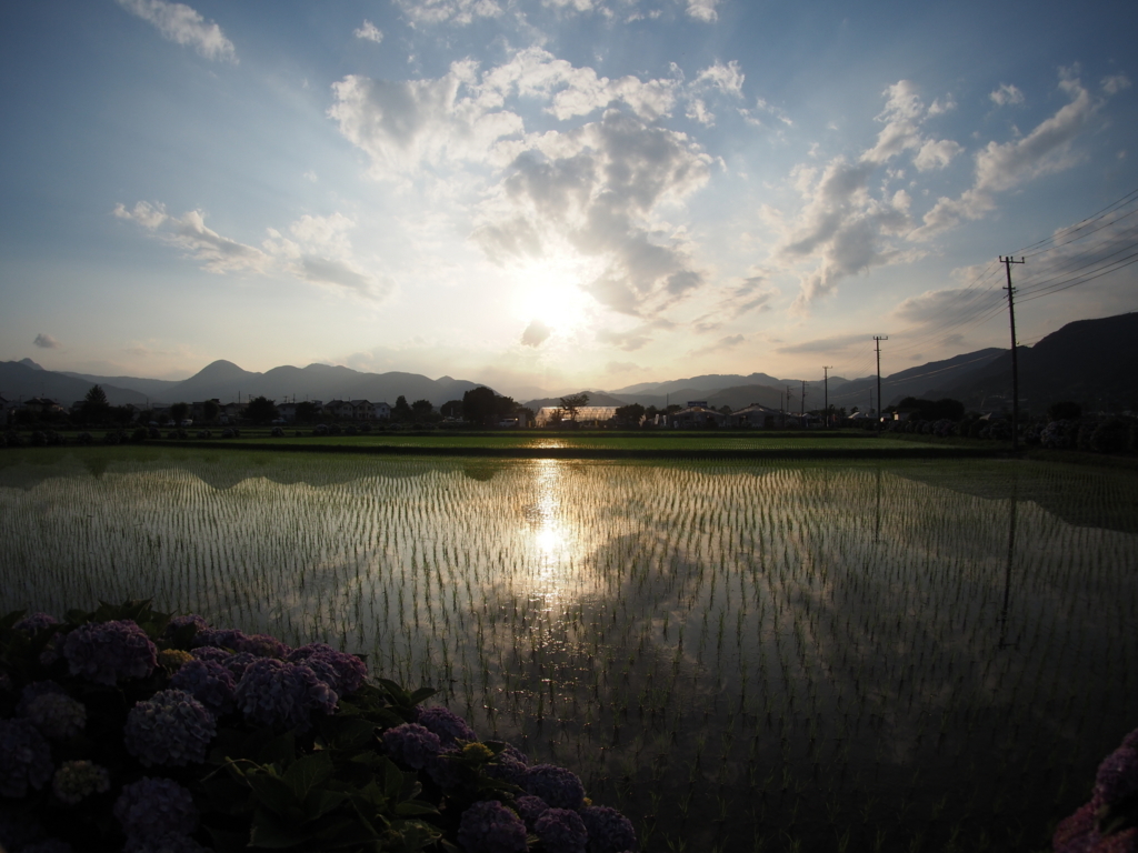 f:id:tanico:20180609175512j:plain f:id:tanico:20180609175512j:plain
