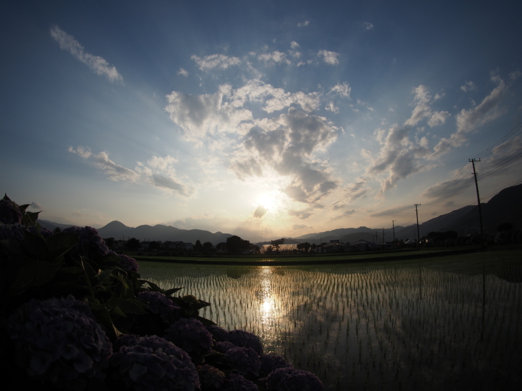 f:id:tanico:20180609175525j:plain f:id:tanico:20180609175525j:plain