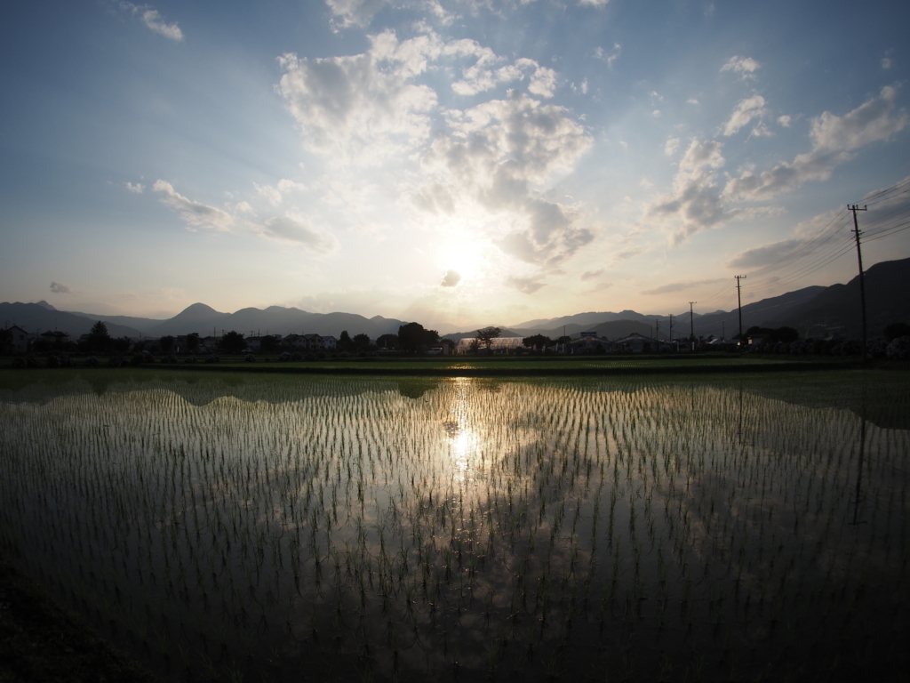 f:id:tanico:20180609175633j:plain f:id:tanico:20180609175633j:plain