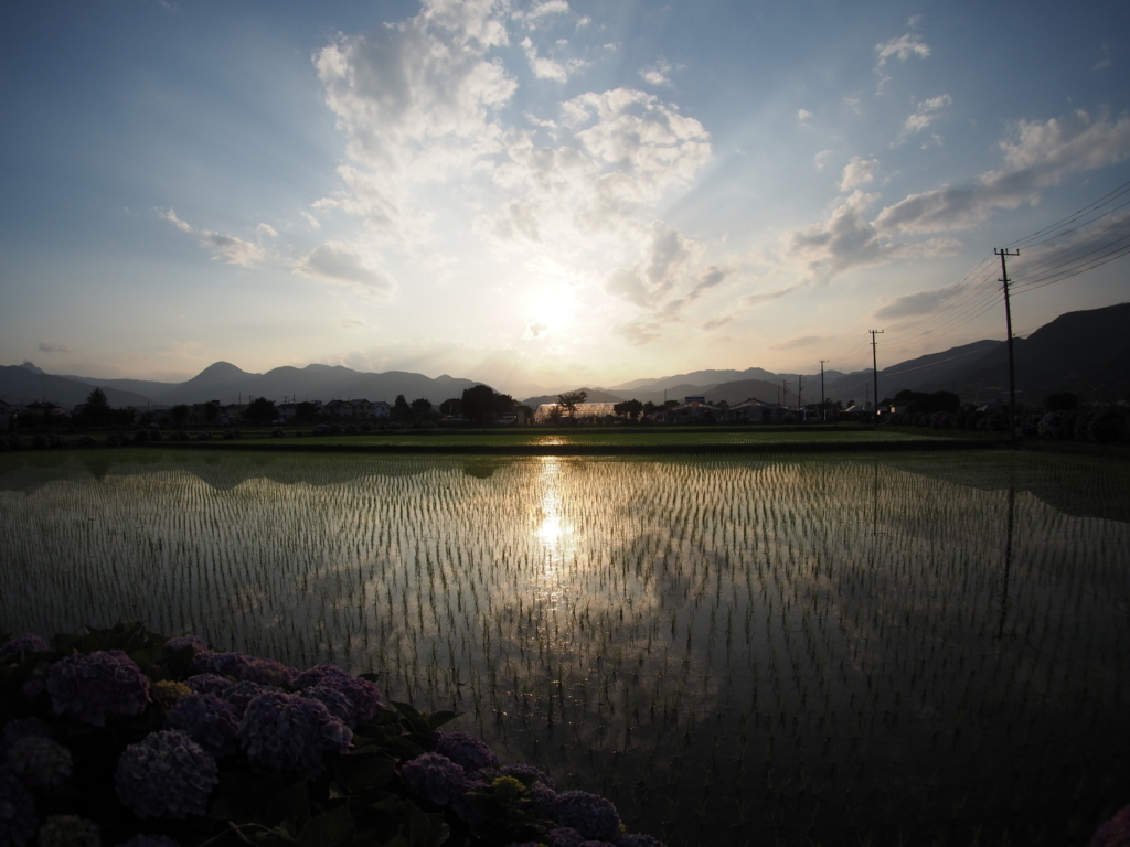 f:id:tanico:20180609175749j:plain f:id:tanico:20180609175749j:plain