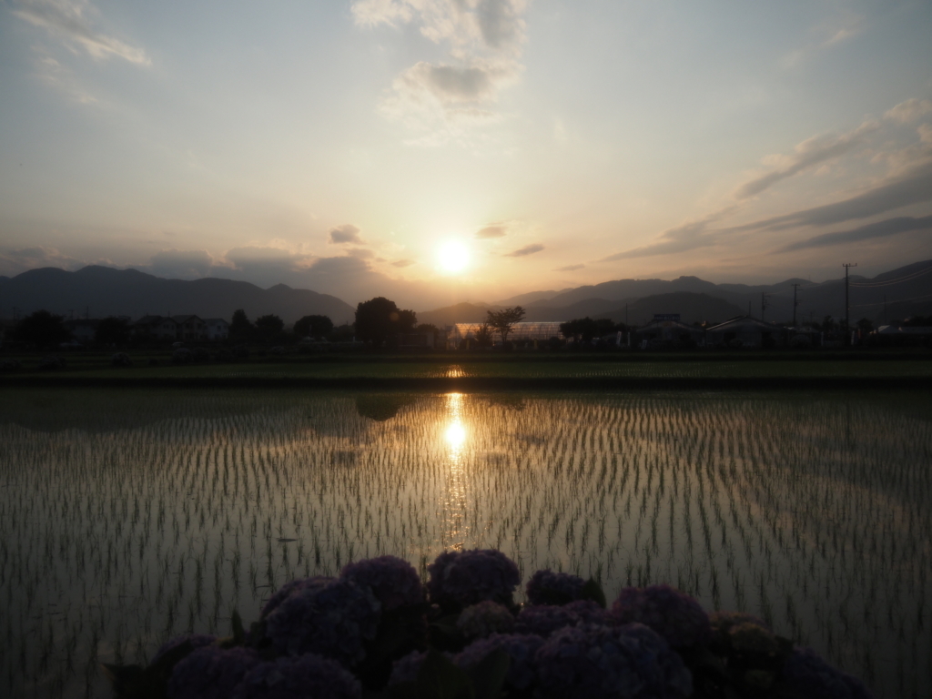 f:id:tanico:20180609181758j:plain f:id:tanico:20180609181758j:plain