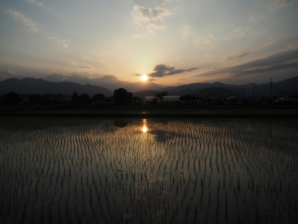 f:id:tanico:20180609182037j:plain f:id:tanico:20180609182037j:plain