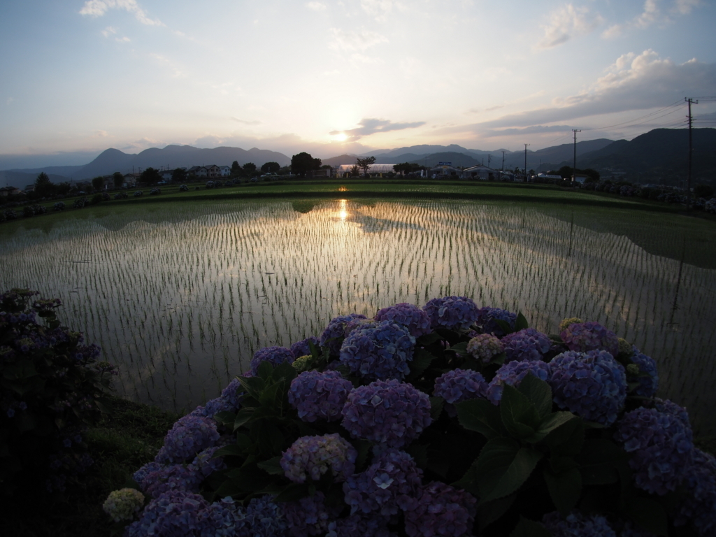 f:id:tanico:20180609182131j:plain f:id:tanico:20180609182131j:plain