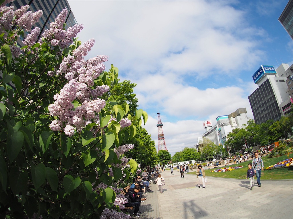 f:id:tanico:20180620133909j:plain f:id:tanico:20180620133909j:plain