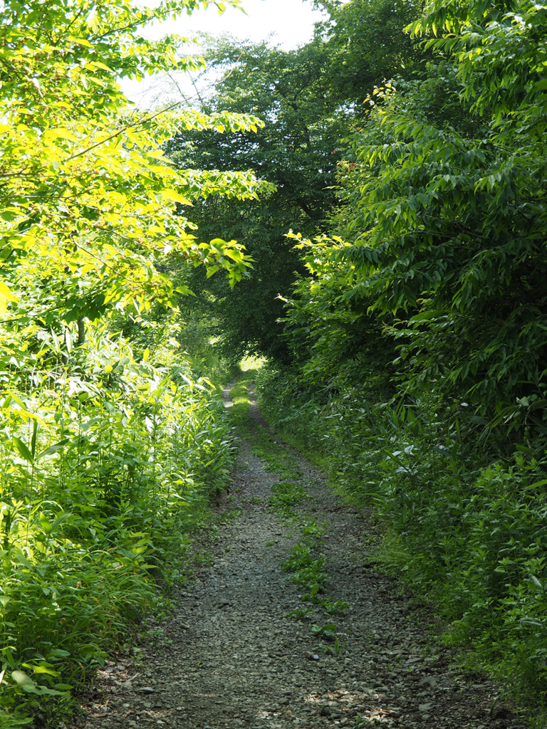 f:id:tanico:20180622151448j:plain f:id:tanico:20180622151448j:plain