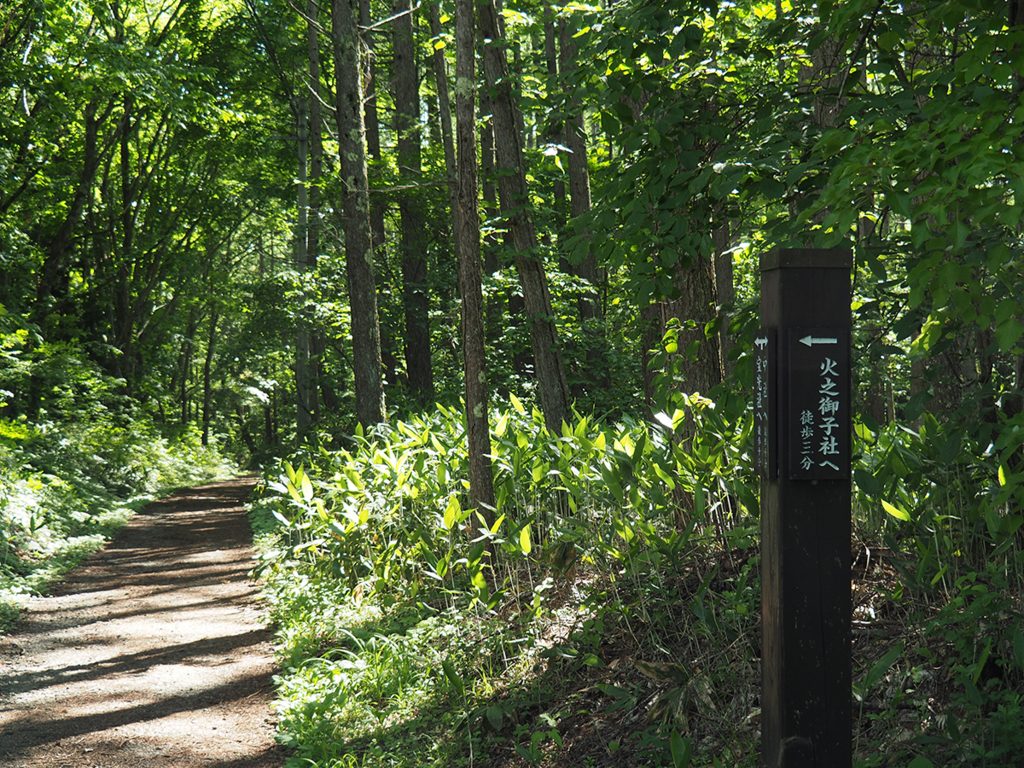 f:id:tanico:20180622151727j:plain f:id:tanico:20180622151727j:plain