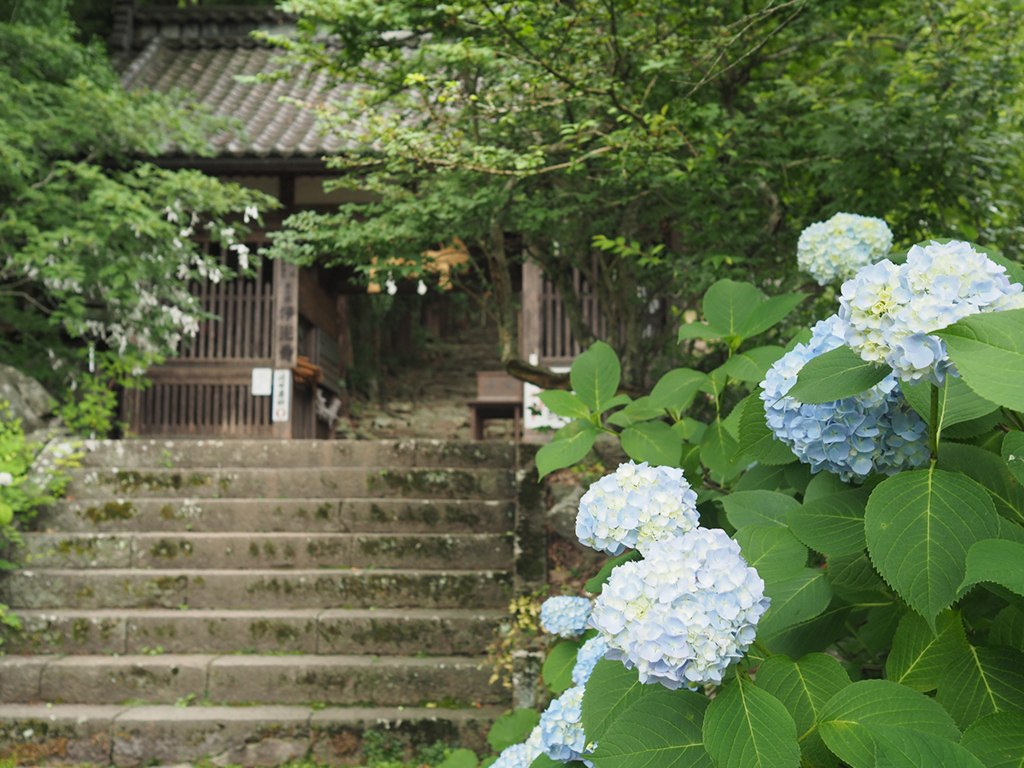 f:id:tanico:20180623105905j:plain