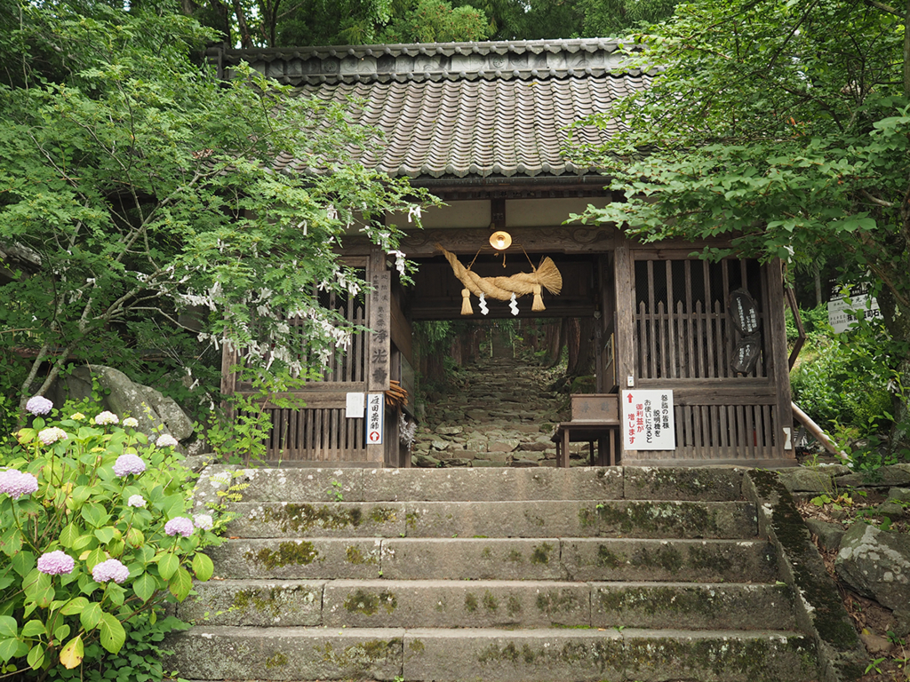 f:id:tanico:20180623105926j:plain