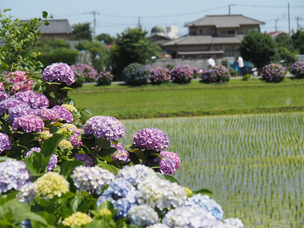 f:id:tanico:20180625203105j:image