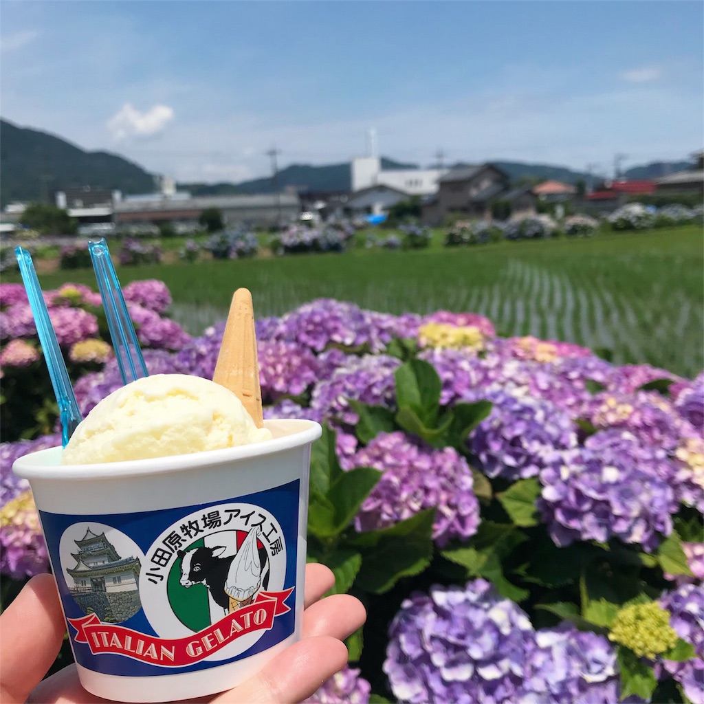 f:id:tanico:20180626134718j:plain f:id:tanico:20180626134718j:plain