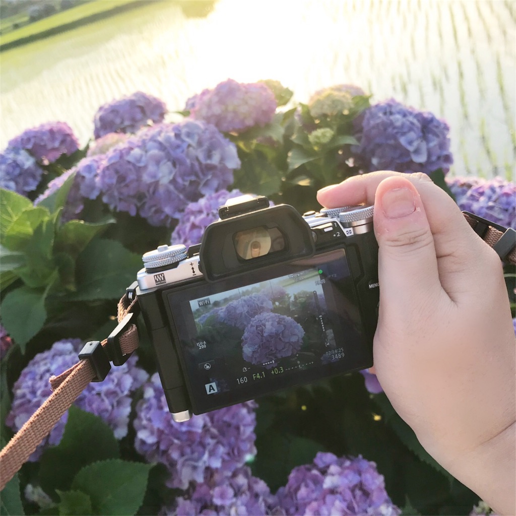 f:id:tanico:20180704132208j:plain f:id:tanico:20180704132208j:plain