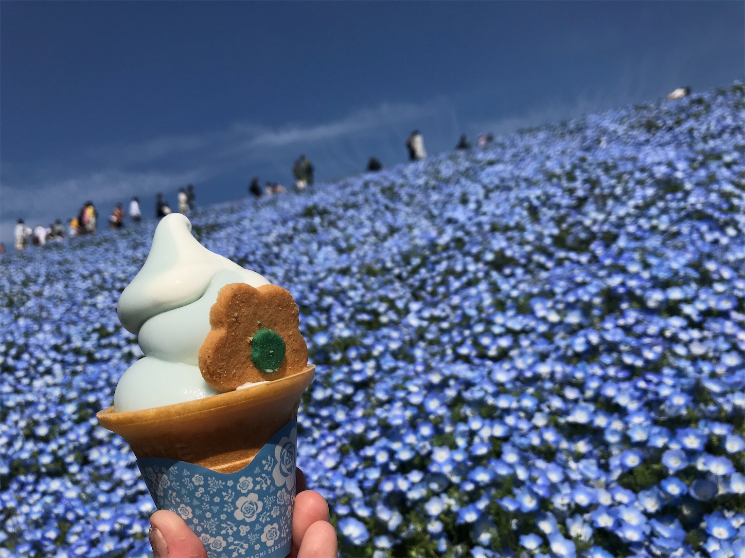 f:id:tanico:20190621191025j:image