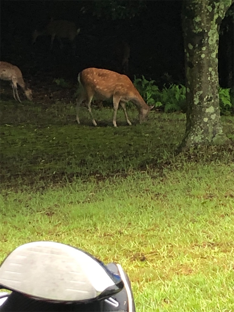 f:id:tanihiro1224:20190719135122j:image f:id:tanihiro1224:20190719135122j:image