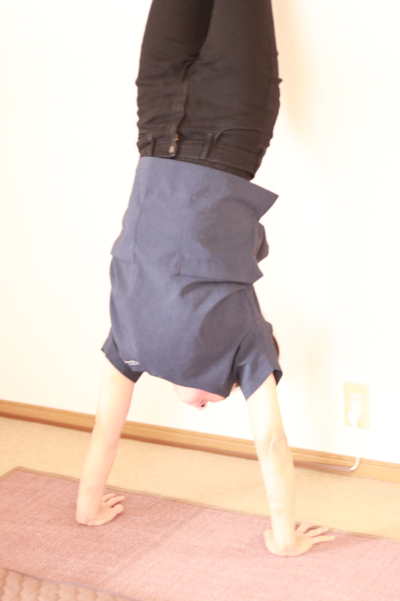 f:id:tanikawaryu_sou:20200923011131j:plain