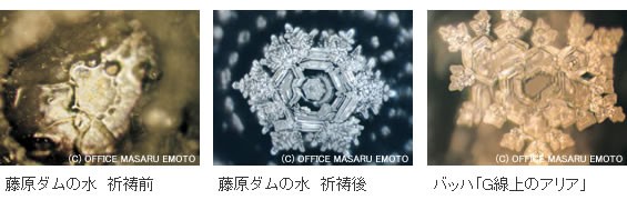 f:id:tanikawaryu_sou:20210918100410j:image