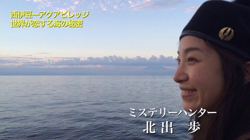 f:id:tanimizu-nos:20161224094304j:plain f:id:tanimizu-nos:20161224094304j:plain
