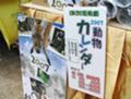 動物カレンダー