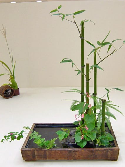 竹を生ける│大和未生流の稽古 - 花紅柳緑～院長のBLOG