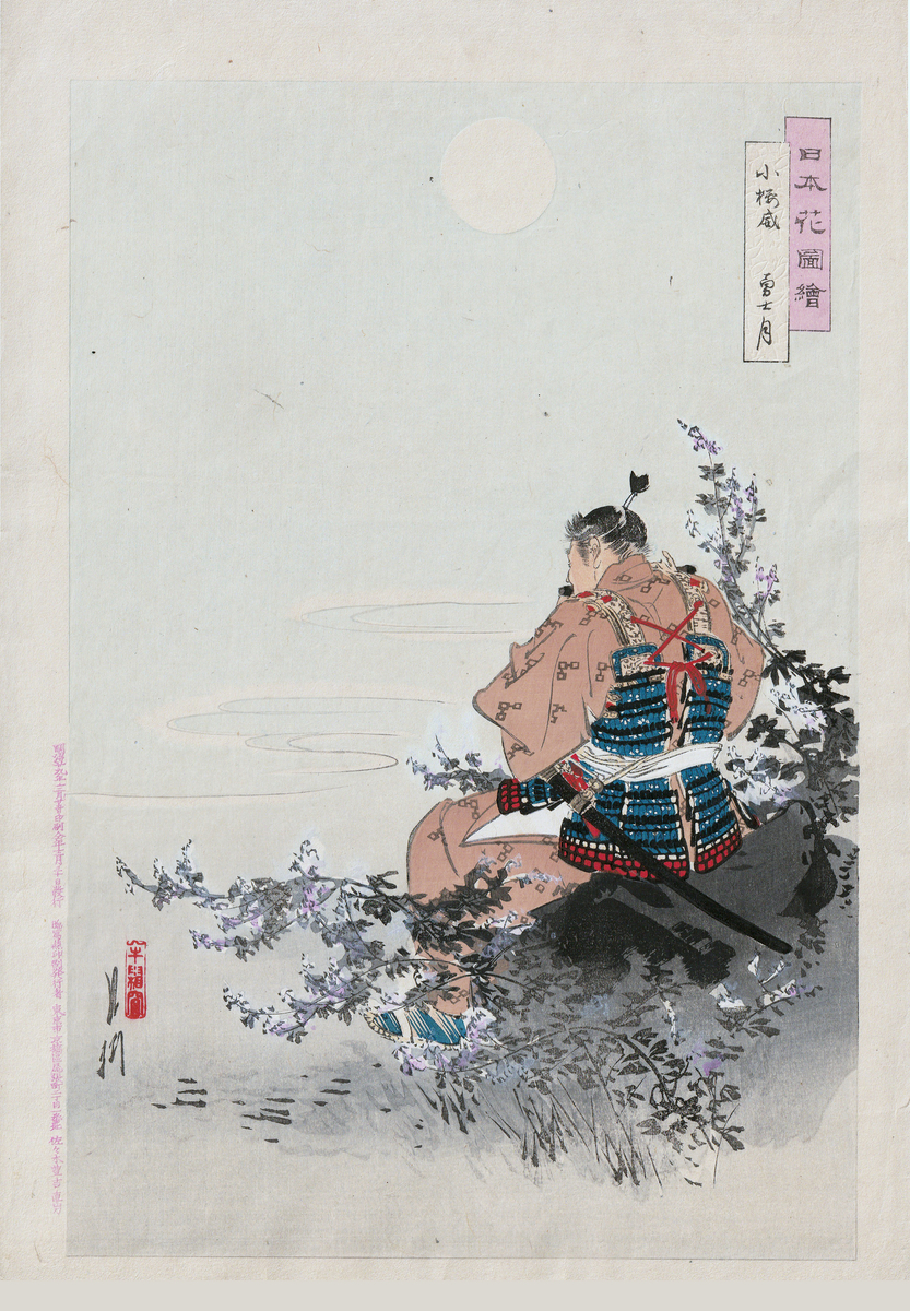 小桜威　日本花図絵